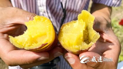 1元1斤！線上線下銷售火！威遠(yuǎn)秋季美味火爆上市！